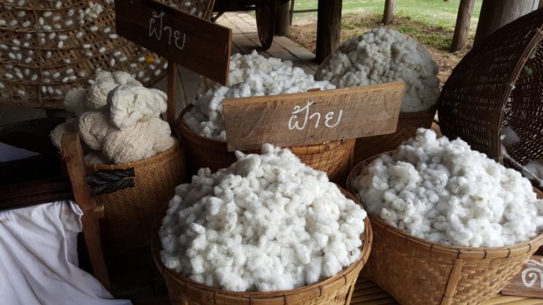 Ekologické pěstování bio bavlny v souladu Fair Trade zaručuje certifikát GOTS.